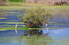 Excursion to Rodia Wetlands