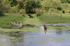 Excursion to Rodia Wetlands